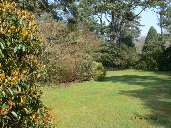 Bois des Moutiers (99) mars 2012